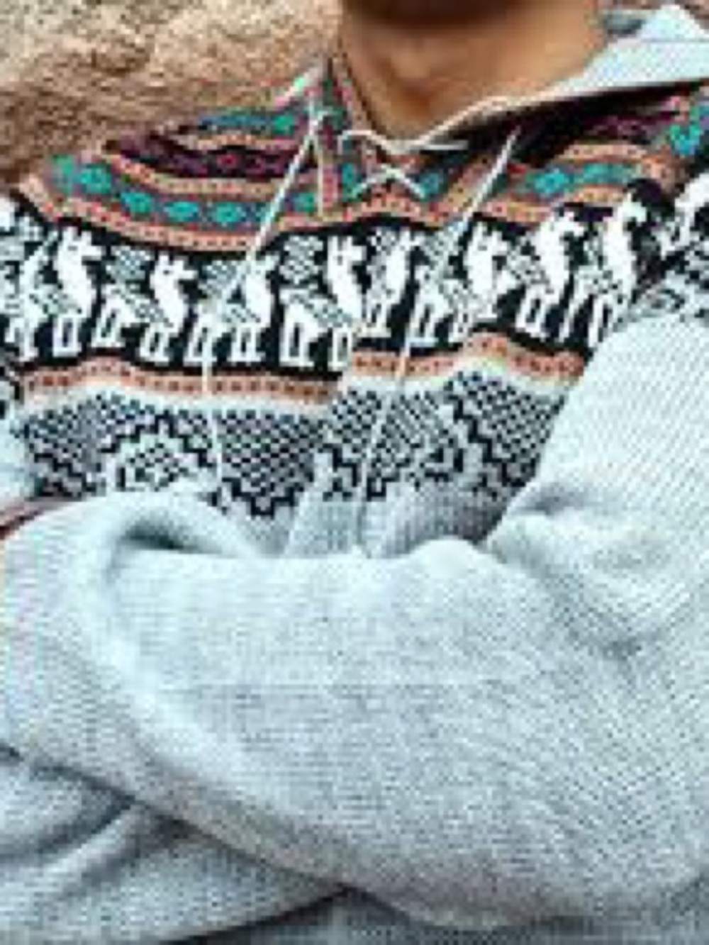 Aly Marka Aztec Light Gray Hooded Zip Sweater with Multicolor Fair Isle Accents - Picture 2 of 6